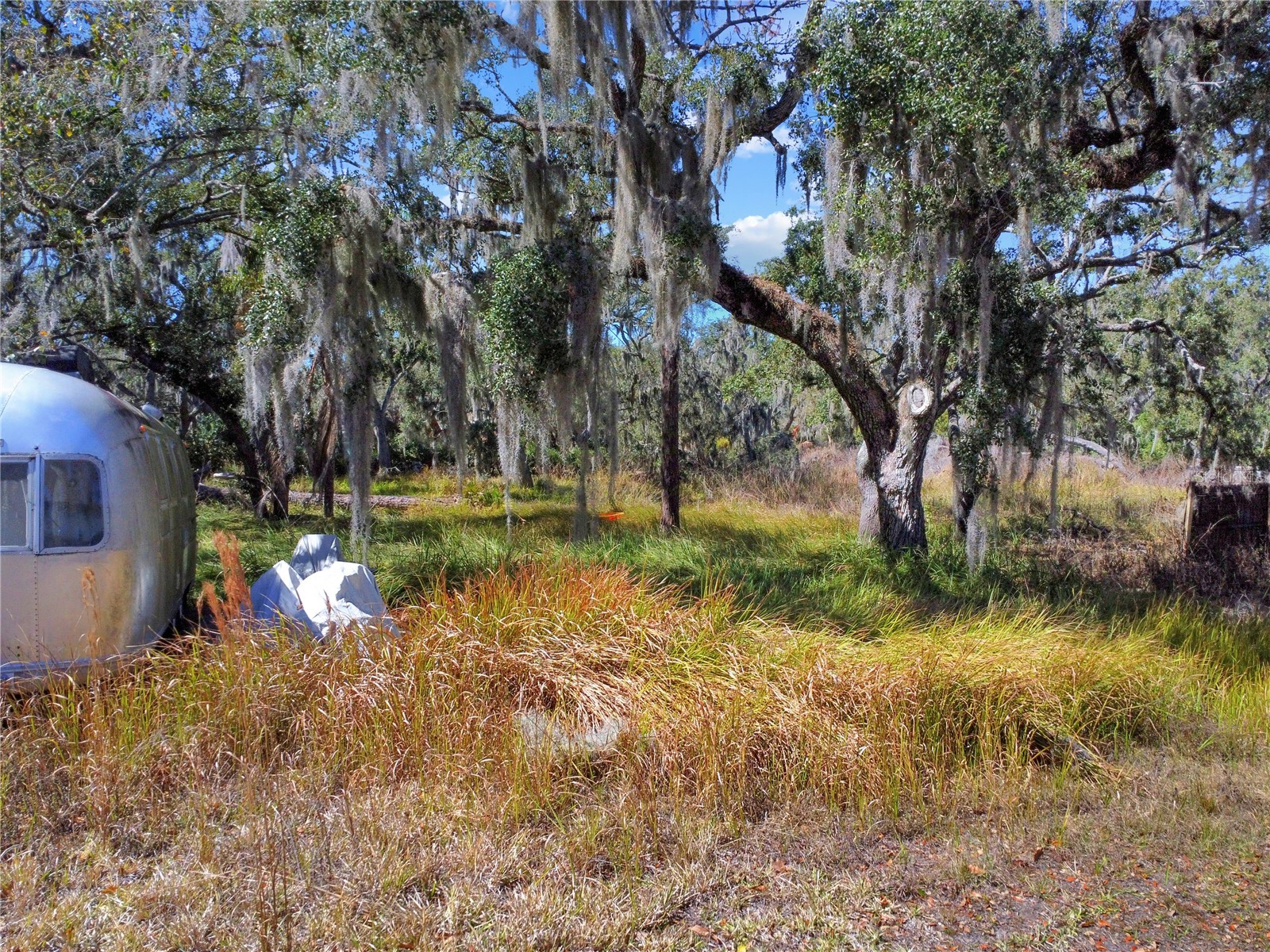 12111 Fred Drive Riverview FL 33578 A4682574 image6