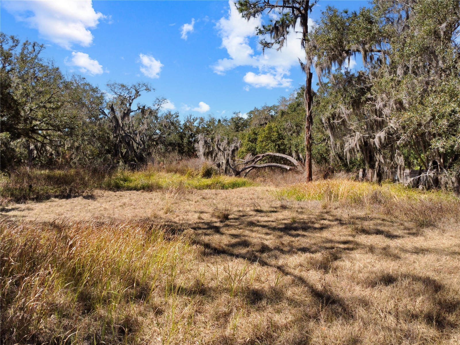 12111 Fred Drive Riverview FL 33578 A4682574 image7