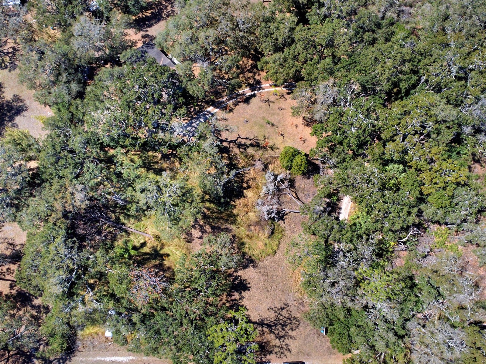 12111 Fred Drive Riverview FL 33578 A4682574 image9