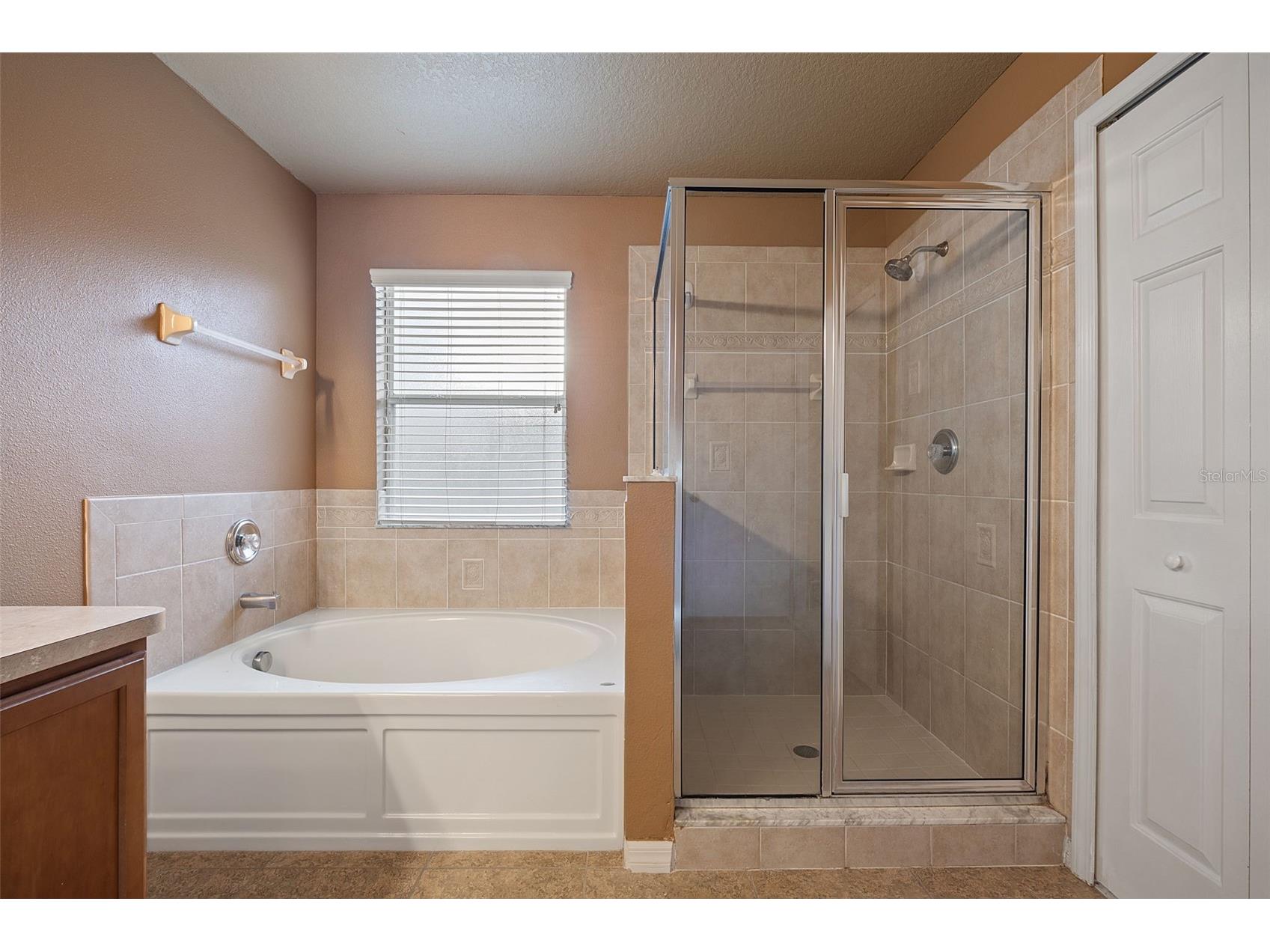 12112 Luftburrow Lane Hudson FL 34669 TB8480899 image19