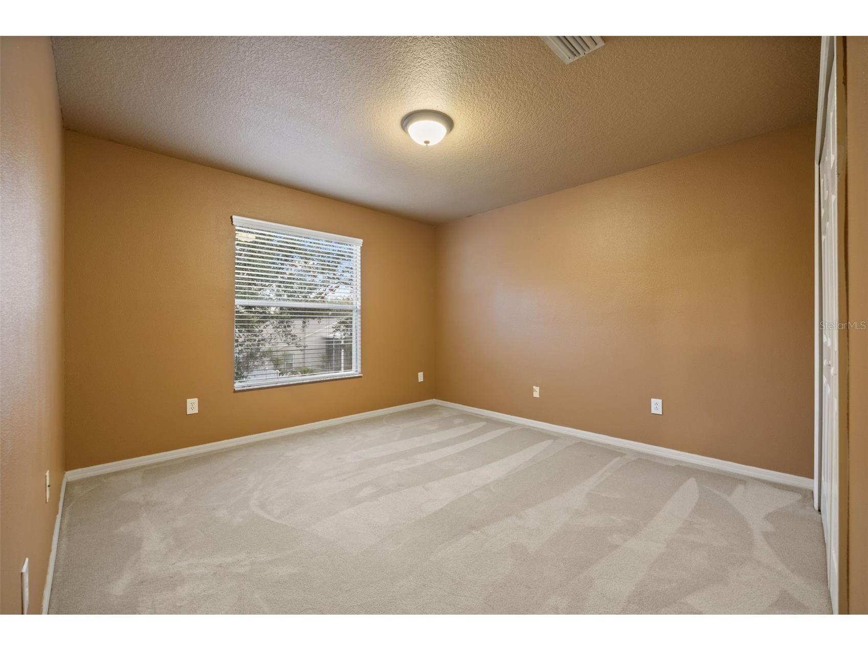 12112 Luftburrow Lane Hudson FL 34669 TB8480899 image21