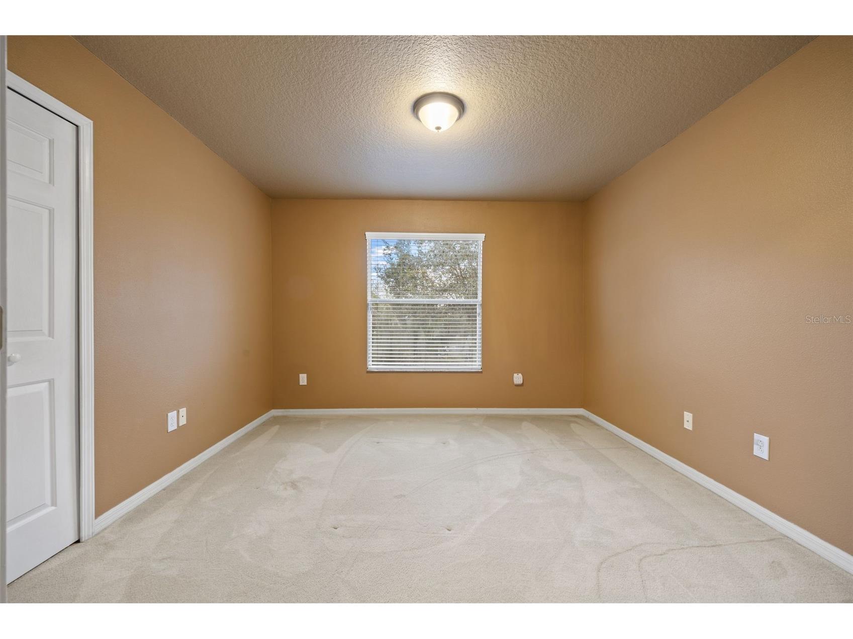 12112 Luftburrow Lane Hudson FL 34669 TB8480899 image23