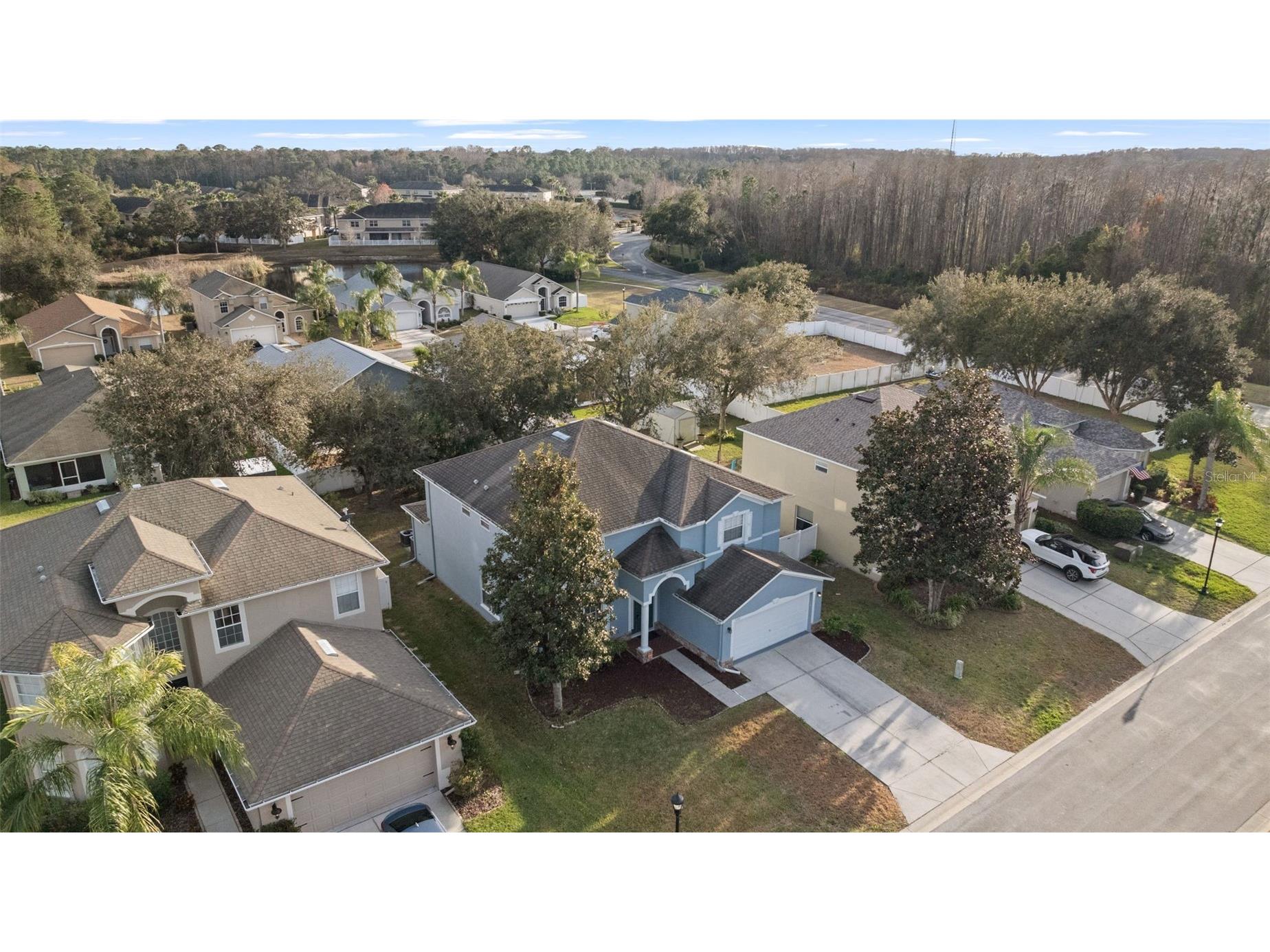 12112 Luftburrow Lane Hudson FL 34669 TB8480899 image28