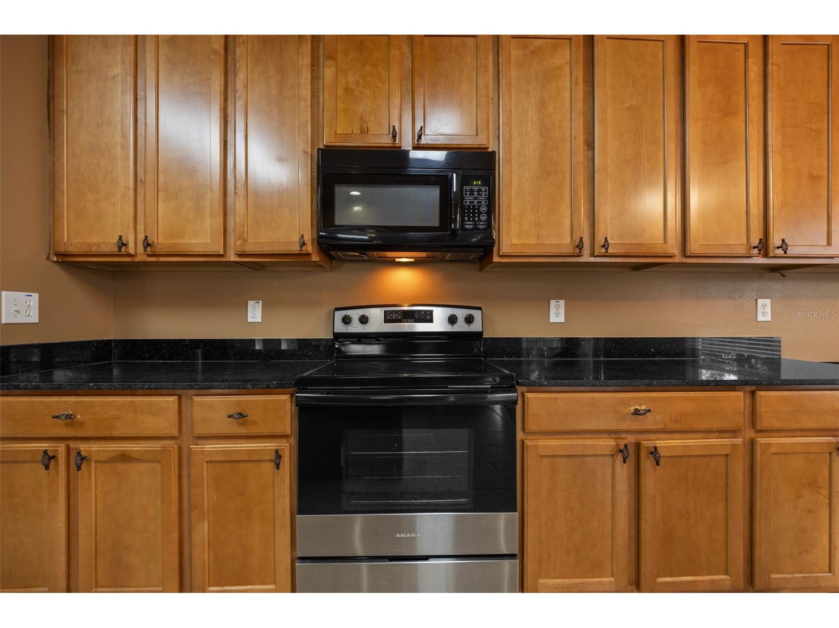 12112 Luftburrow Lane Hudson FL 34669 TB8480899 image7