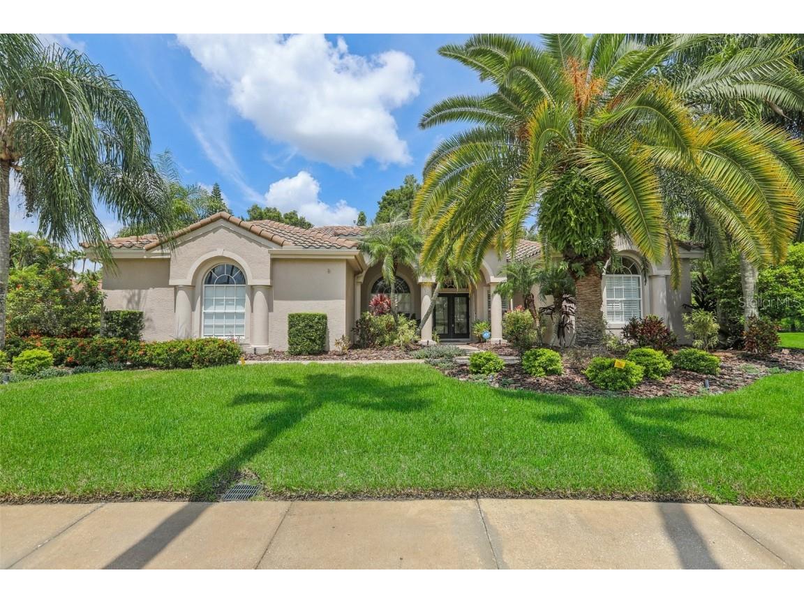 12113 Clear Harbor Drive Tampa FL 33626 T3550616 image1