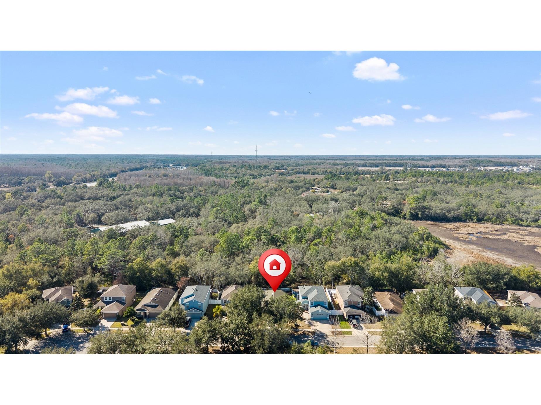 12113 Deertrack Loop Spring Hill FL 34610 TB8472507 image27