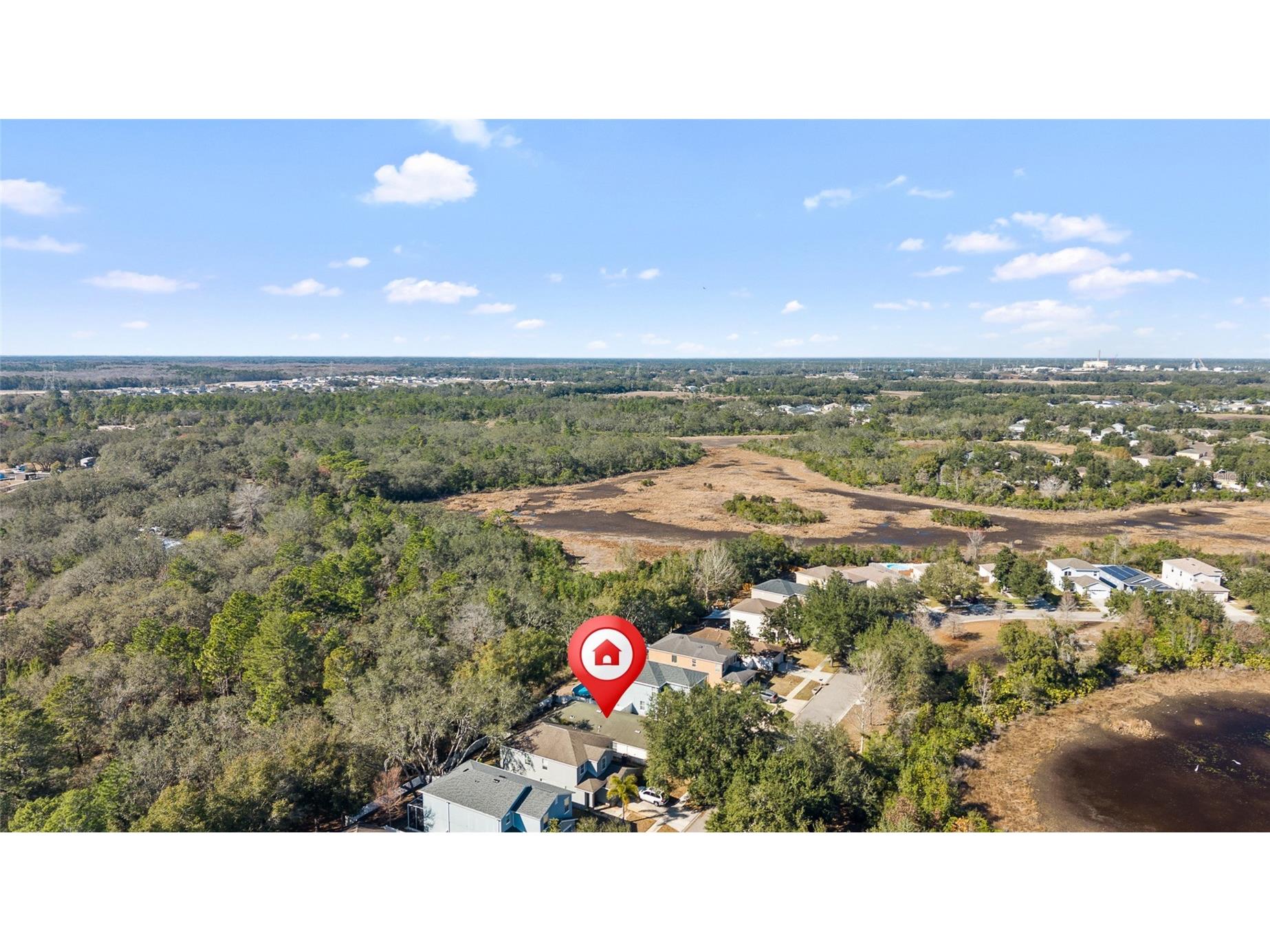 12113 Deertrack Loop Spring Hill FL 34610 TB8472507 image28