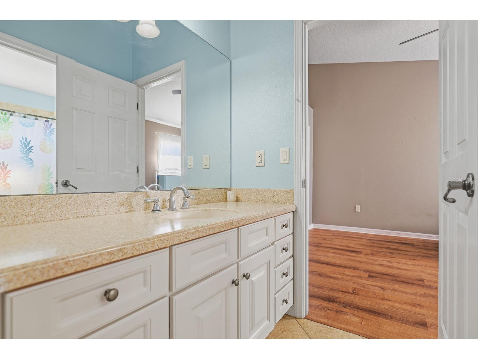 12114 Creek Edge Drive Riverview FL 33579 TB8470026 image28