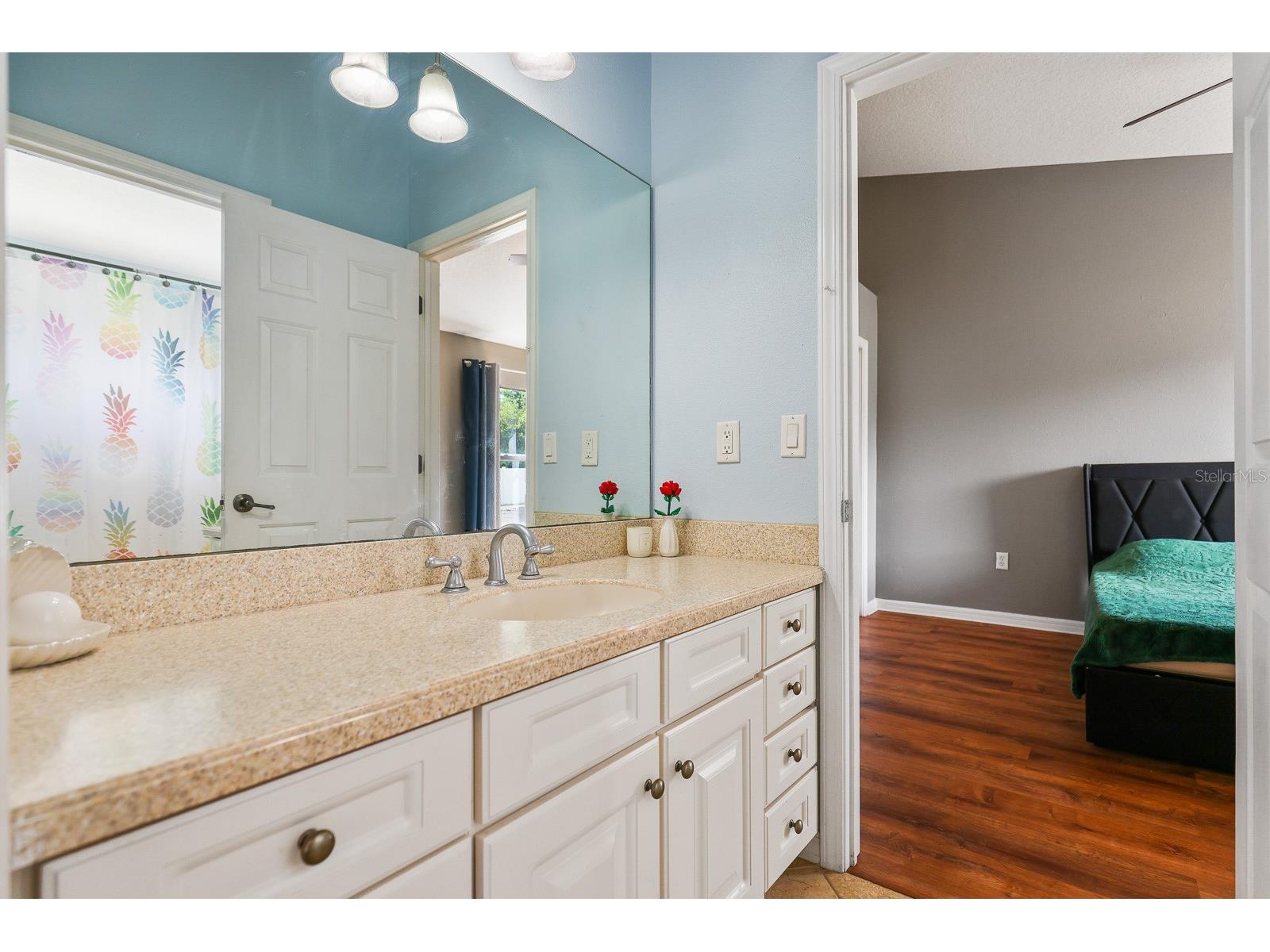 12114 Creek Edge Drive Riverview FL 33579 TB8525506 image30