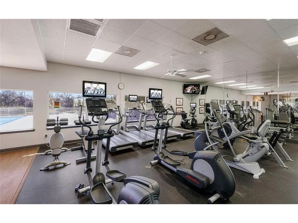 12114 Creole Court Parrish FL 34219 TB8415904 image44