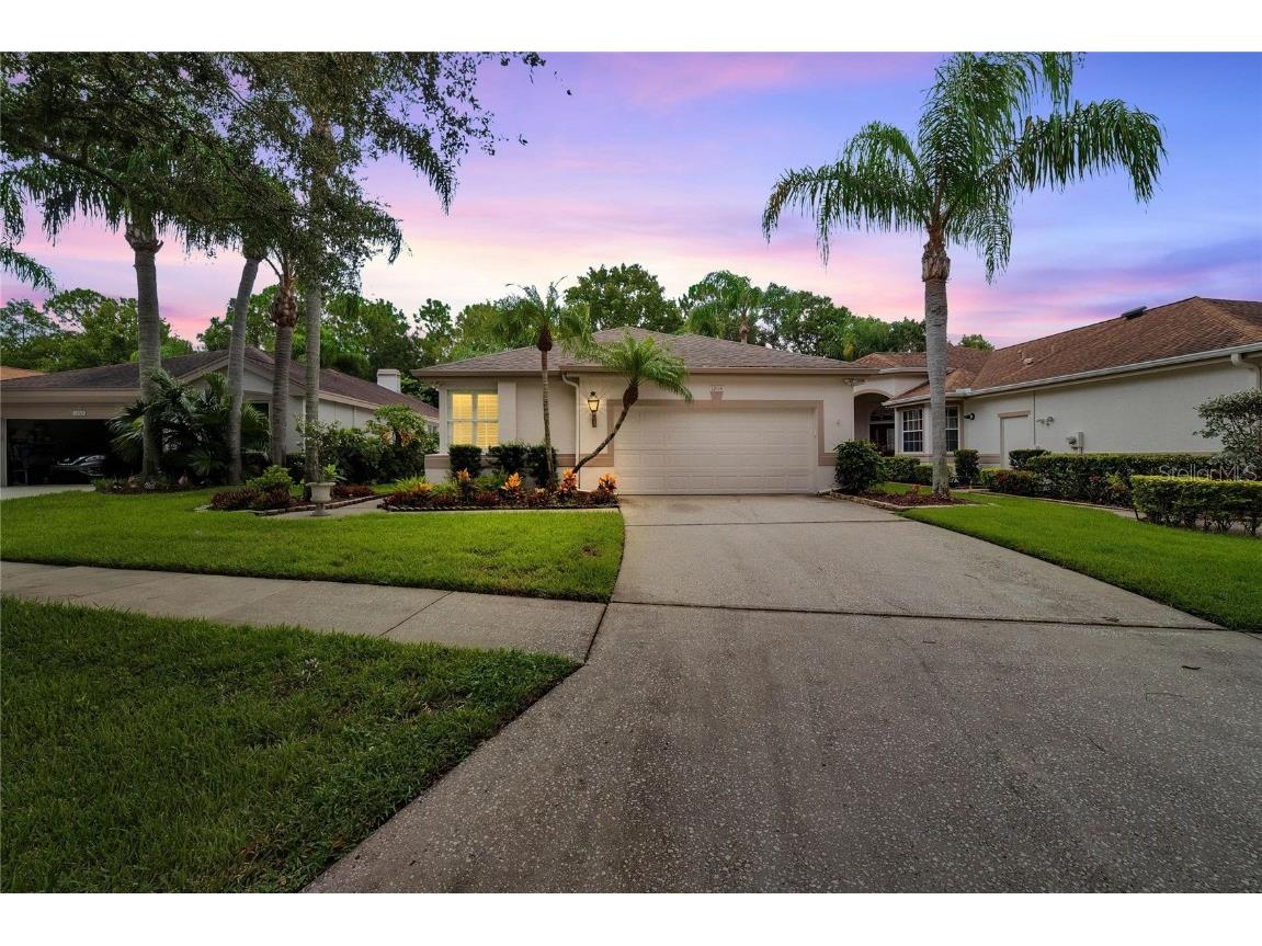 12114 Glencliff Circle Tampa FL 33626 T3547070 image1