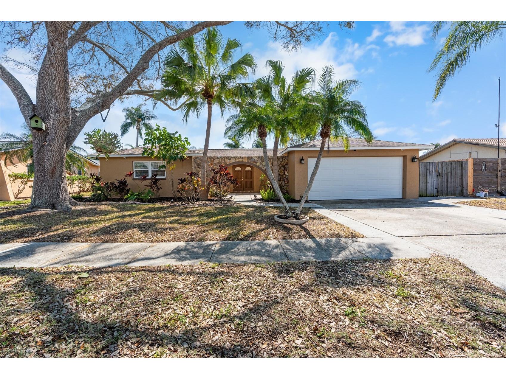12114 Rhonda Terrace Seminole FL 33772 TB8476784 image1