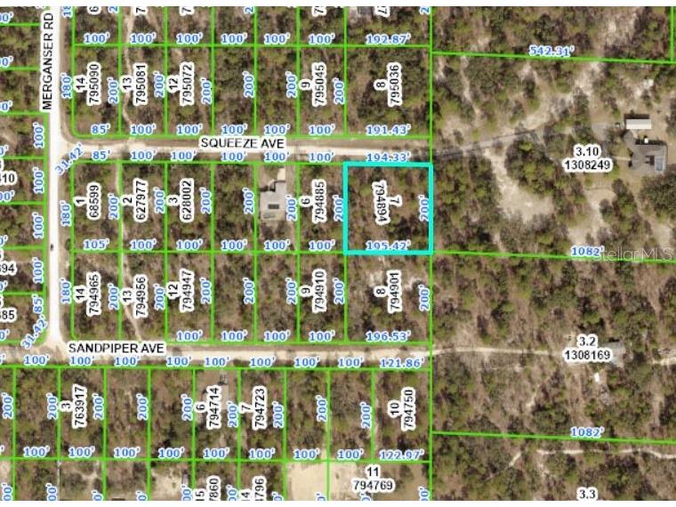 12114 Squeeze Avenue Weeki Wachee FL 34614 W7852843 image1