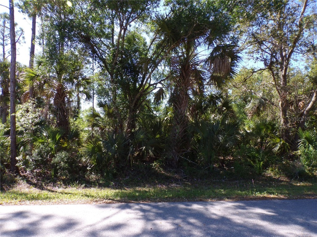 12115 Estrella Boulevard Punta Gorda FL 33955 C7507293 image6