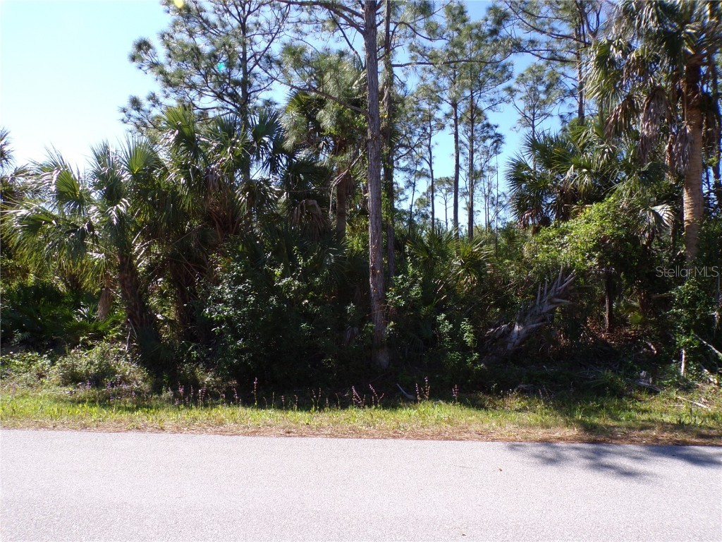 12115 Estrella Boulevard Punta Gorda FL 33955 C7507293 image8