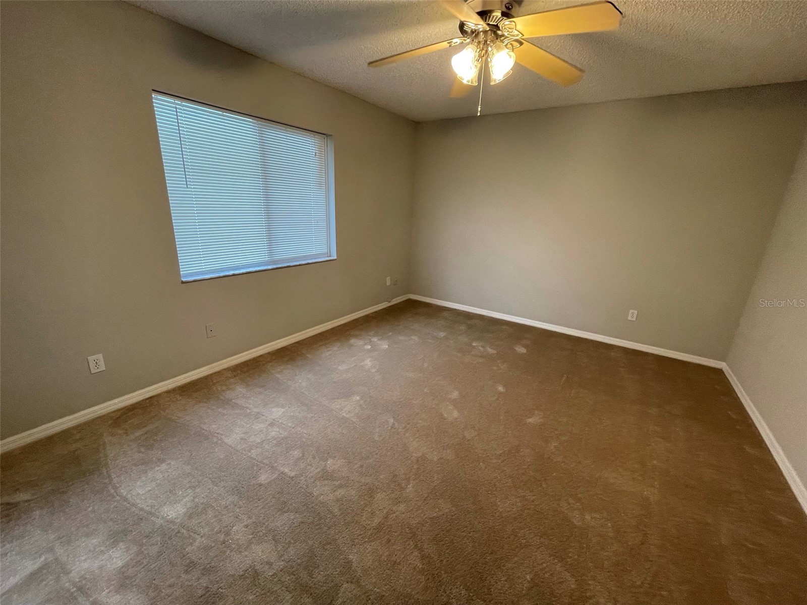 12115 Feldwood Creek Lane Riverview FL 33579 TB8515163 image12