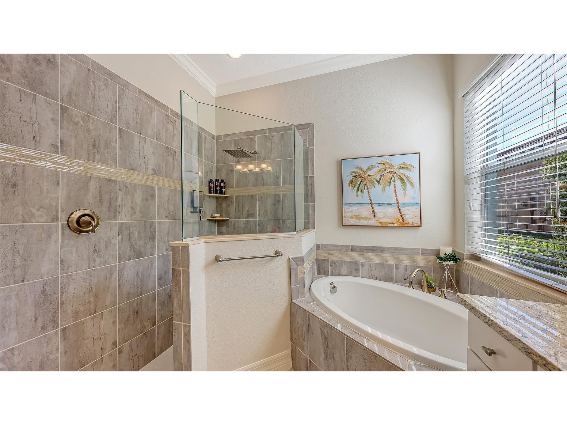 12115 Perennial Place Lakewood Ranch FL 34211 A4676441 image23
