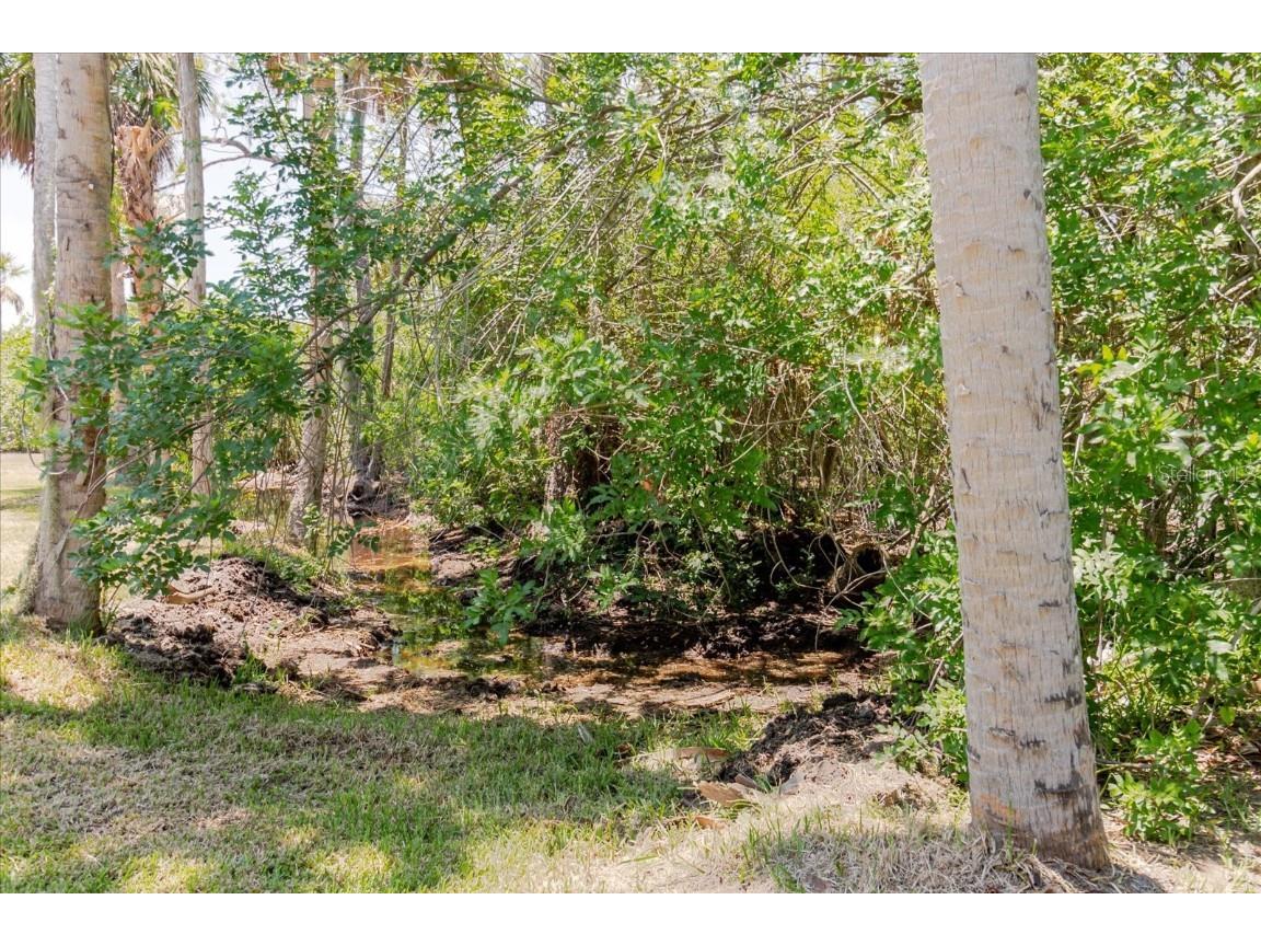 12115 S Us Hwy 41 Gibsonton FL 33534 TB8409141 image77