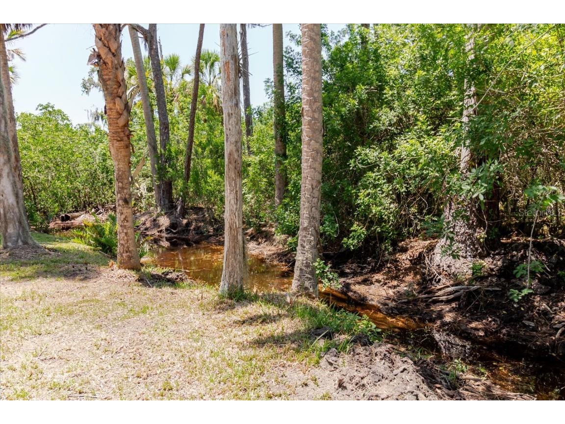 12115 S Us Hwy 41 Gibsonton FL 33534 TB8409141 image98