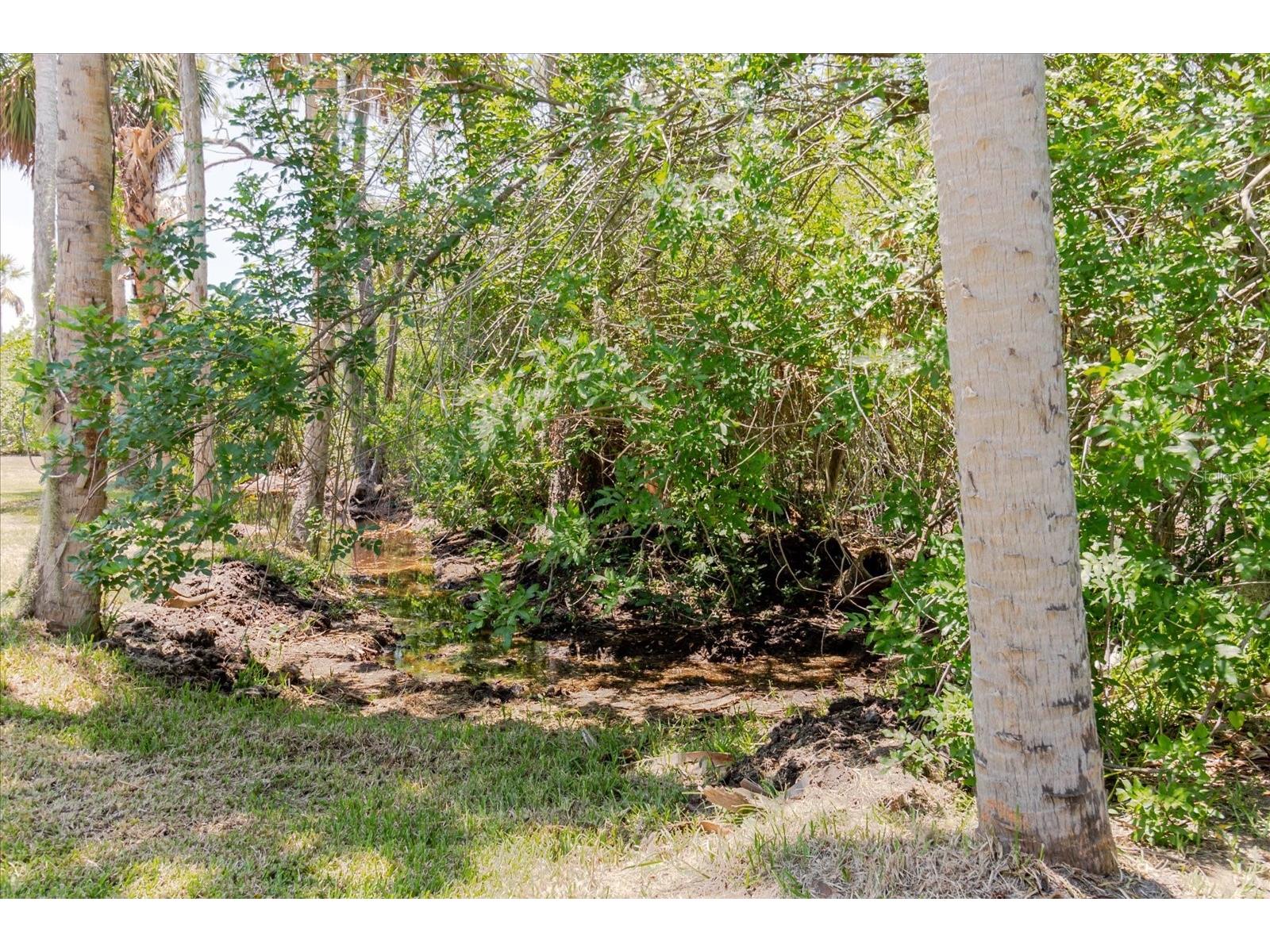 12115 S Us Hwy 41 Gibsonton FL 33534 TB8480347 image71