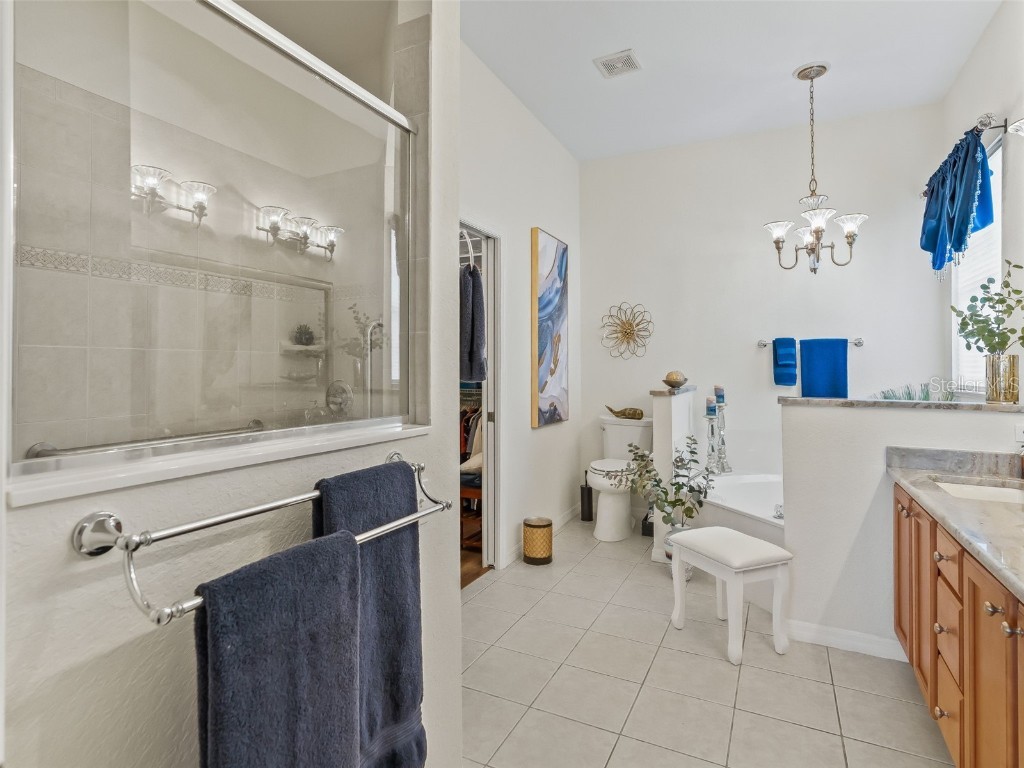 12115 SE 175th Loop Summerfield FL 34491 G5103110 image27