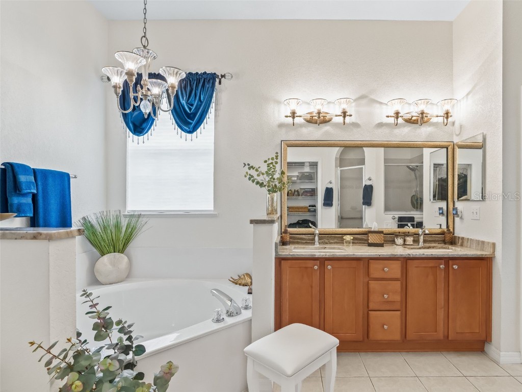 12115 SE 175th Loop Summerfield FL 34491 G5103110 image28