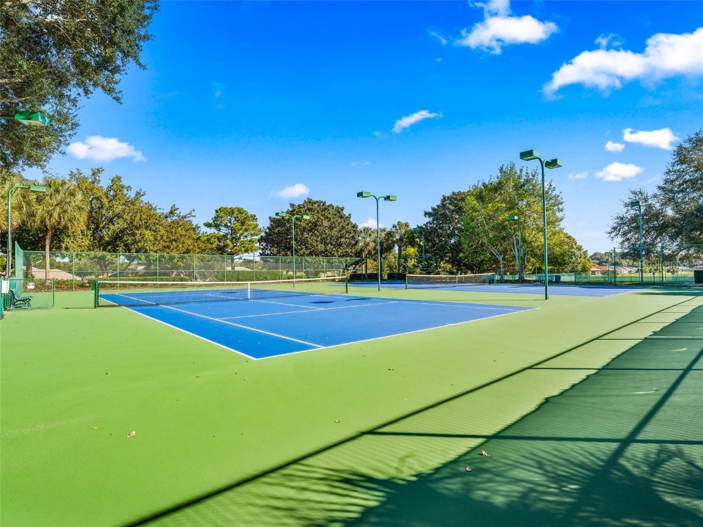 12115 SE 175th Loop Summerfield FL 34491 G5103110 image66