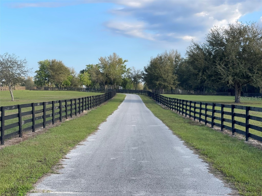 12115 SE Sunset Harbor Road Weirsdale FL 32195 - LAKE WEIR OM696243 image21