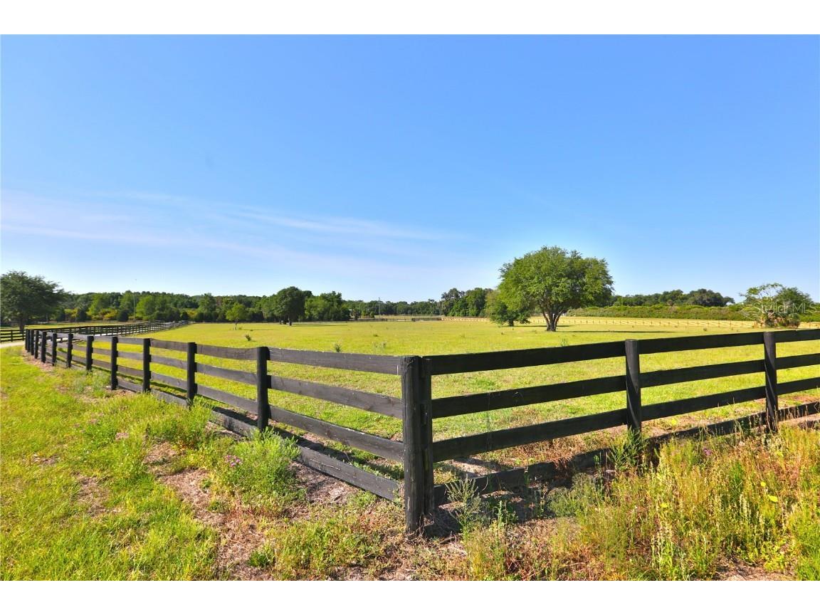 12115 SE Sunset Harbor Road Weirsdale FL 32195 - LAKE WEIR OM696243 image25