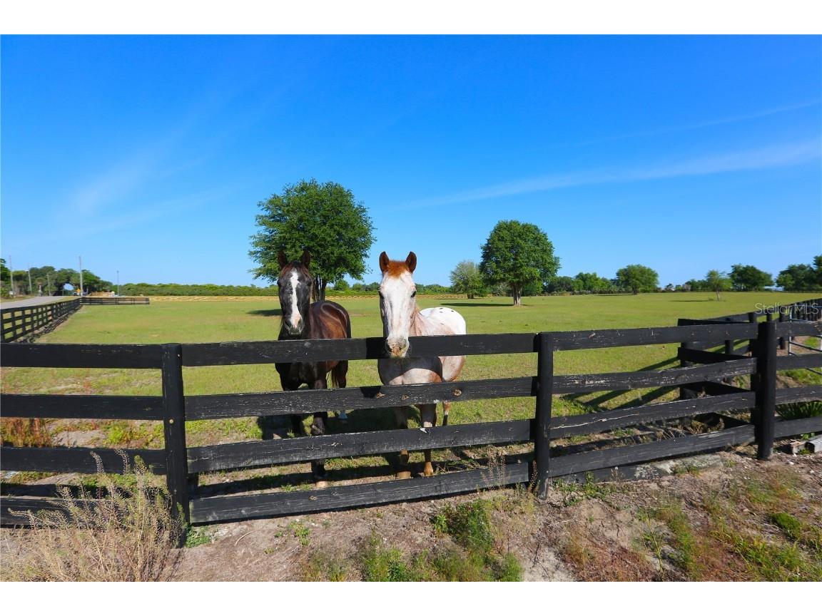 12115 SE Sunset Harbor Road Weirsdale FL 32195 - LAKE WEIR OM696243 image27