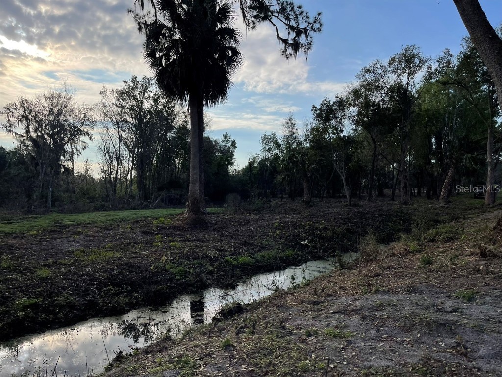 12115 SE Sunset Harbor Road Weirsdale FL 32195 - LAKE WEIR OM696243 image28