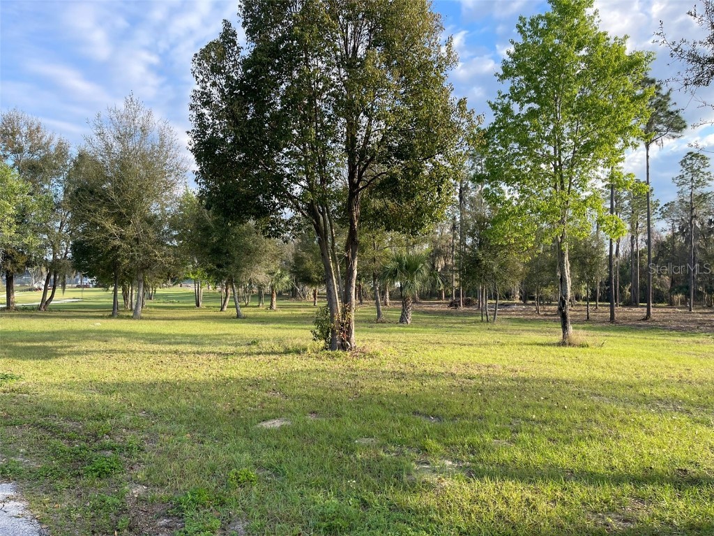 12115 SE Sunset Harbor Road Weirsdale FL 32195 - LAKE WEIR OM696243 image30