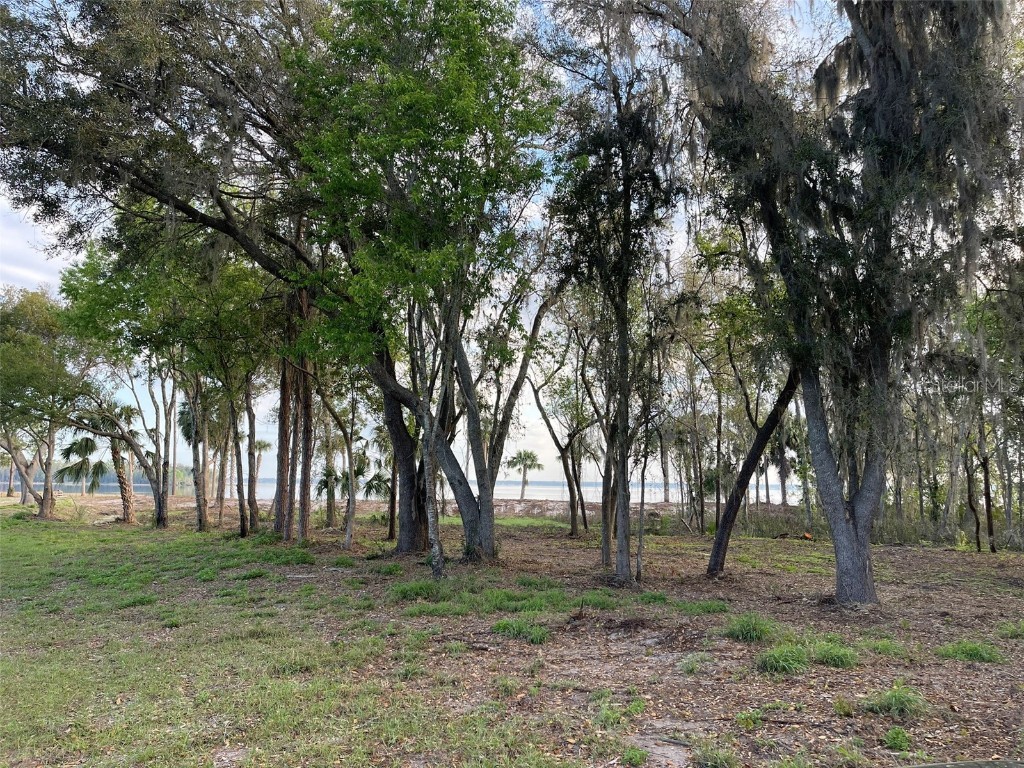 12115 SE Sunset Harbor Road Weirsdale FL 32195 - LAKE WEIR OM696243 image32