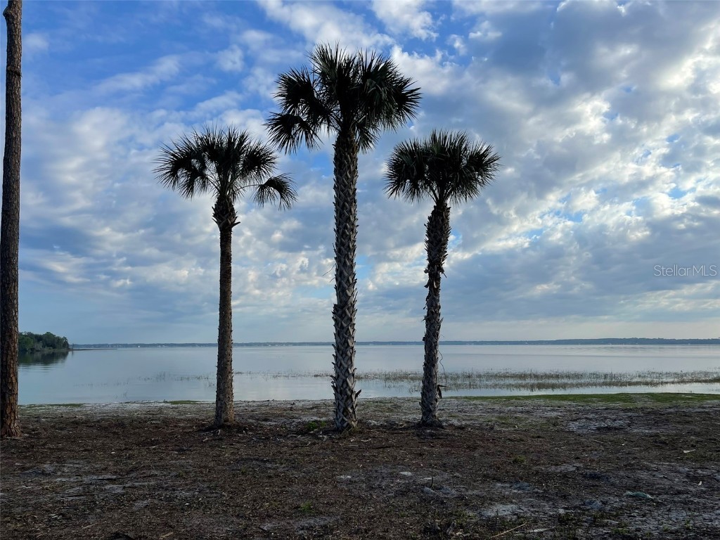 12115 SE Sunset Harbor Road Weirsdale FL 32195 - LAKE WEIR OM696243 image35