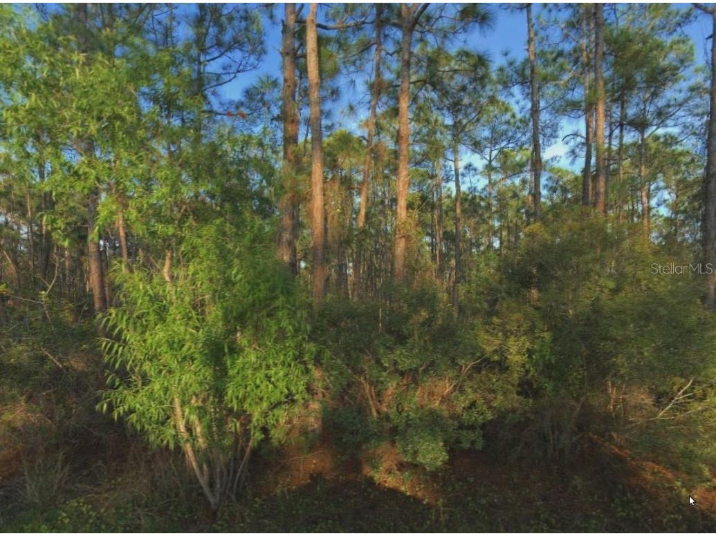 12116 Le Jeune Drive Punta Gorda FL 33955 C7468232 image1