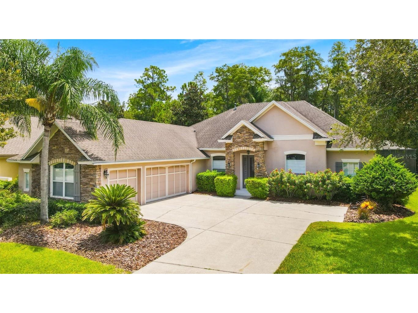 12116 San Chaliford Court Tampa FL 33626 T3447718 image1