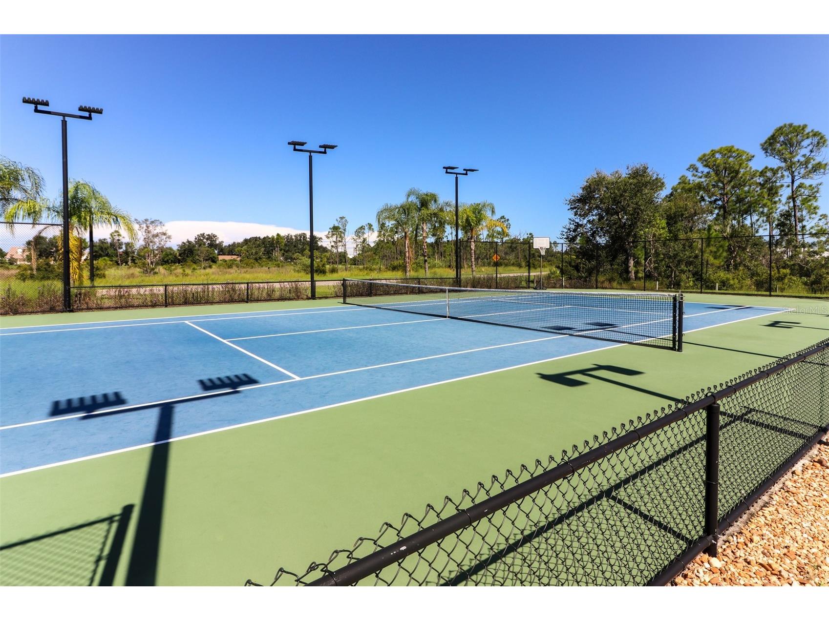 12116 Sw County Rd. 769 #200 Lake Suzy FL 34269 C7521289 image38