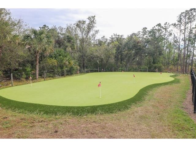 12116 Sw County Rd 769 # 311 Lake Suzy FL 34269 C7523389 image5