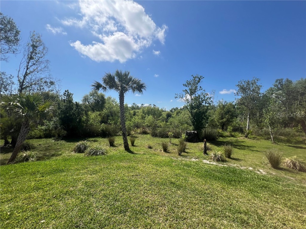 12116 SW CR 769 SW County Road 769 #219 Lake Suzy FL 34269 C7508733 image36