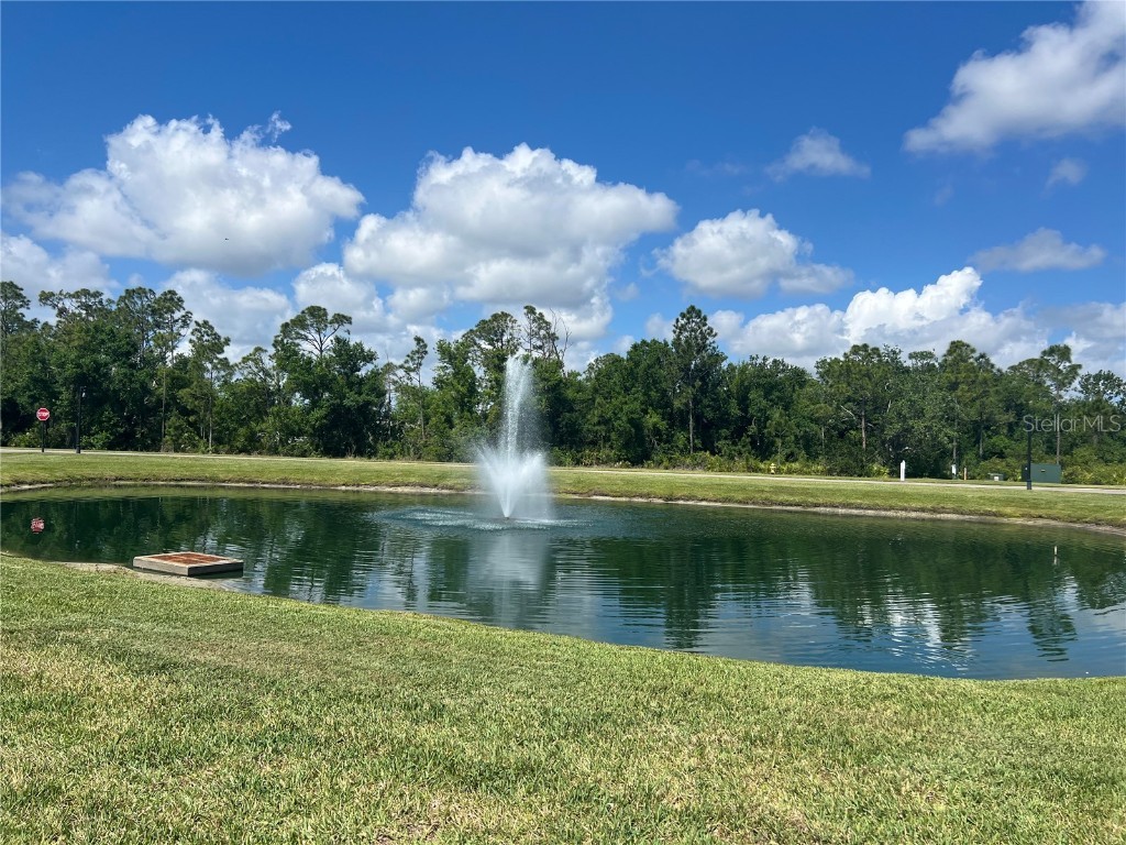 12116 SW CR 769 SW County Road 769 #219 Lake Suzy FL 34269 C7508733 image38