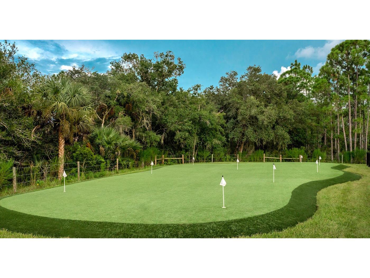 12116 SW CR 769 SW County Road 769 #219 Lake Suzy FL 34269 C7508733 image41