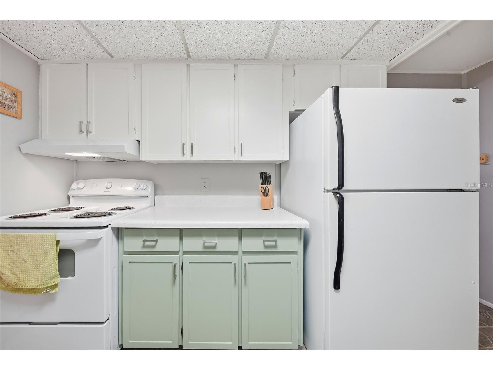 12117 Cartwright Drive Hudson FL 34667 W7883431 image14