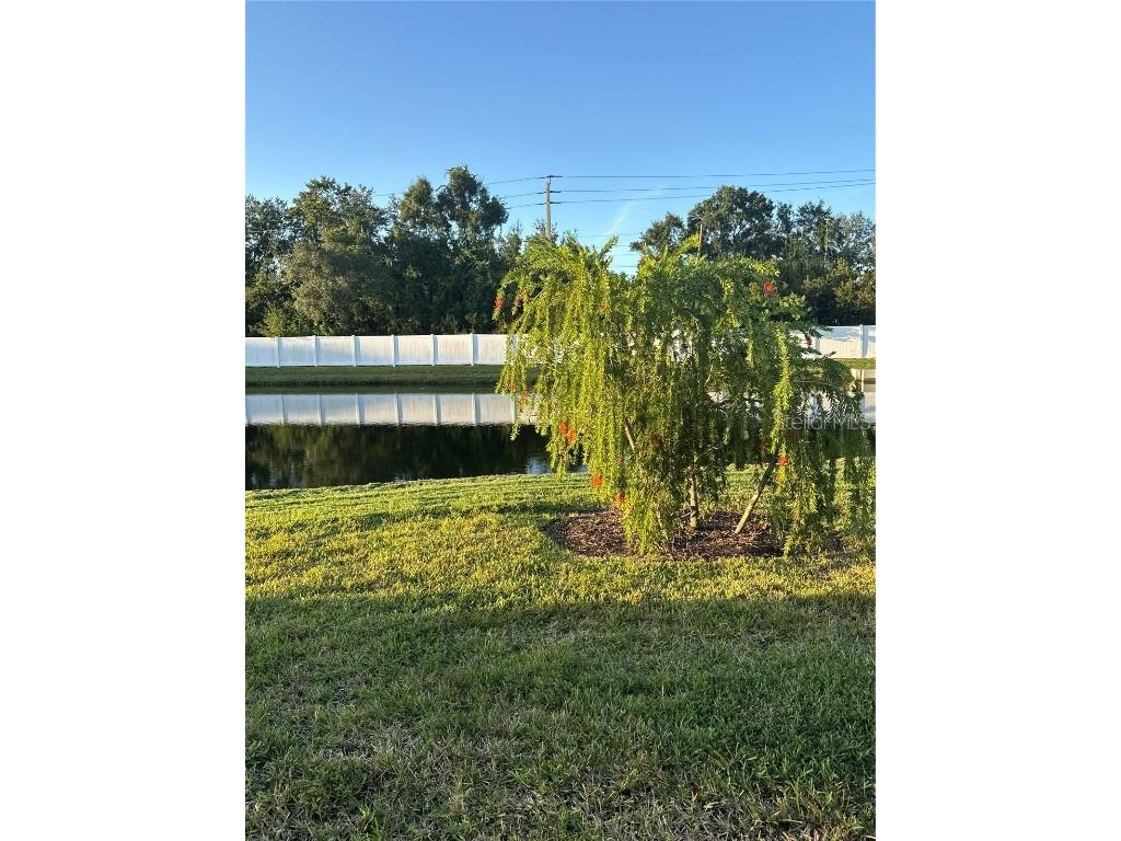 12118 Bald Cypress Cove Parrish FL 34219 TB8436541 image11