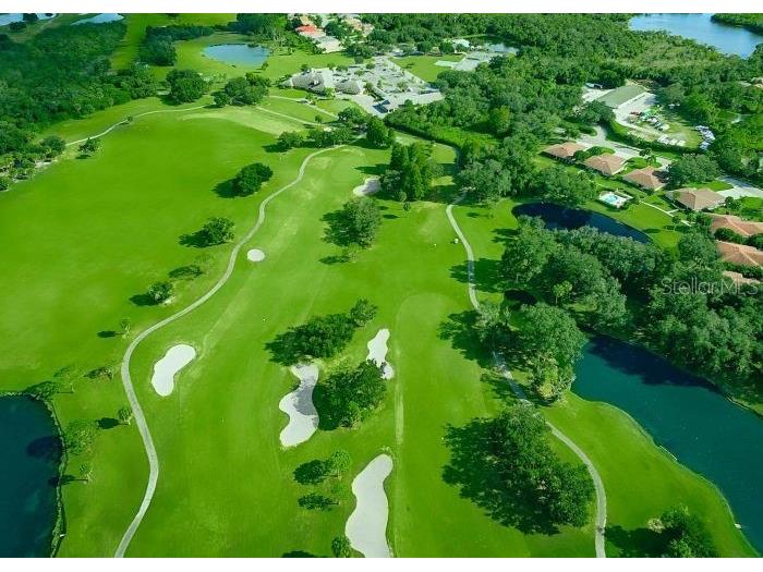 12118 Bald Cypress Cove Parrish FL 34219 TB8436541 image16