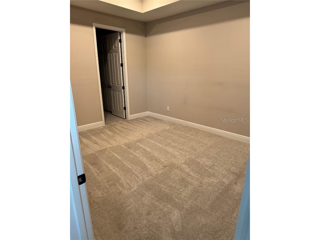 12118 Bald Cypress Cove Parrish FL 34219 TB8436541 image23