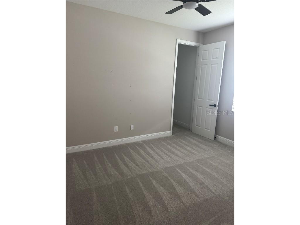 12118 Bald Cypress Cove Parrish FL 34219 TB8436541 image34