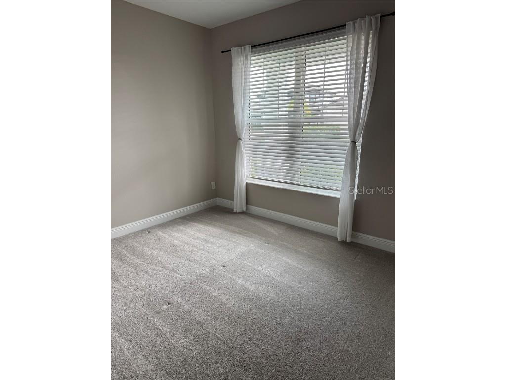 12118 Bald Cypress Cove Parrish FL 34219 TB8436541 image36