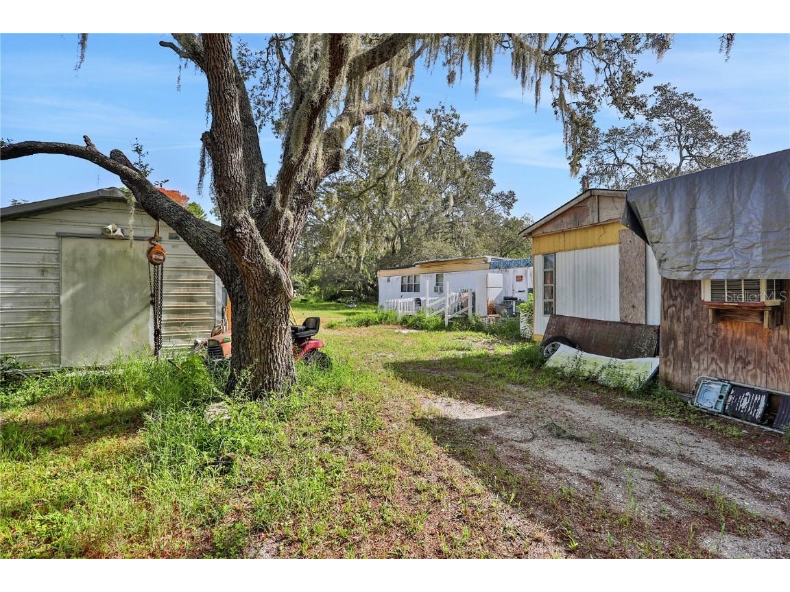 12118 Glenhill Drive Riverview FL 33569 T3467118 image1