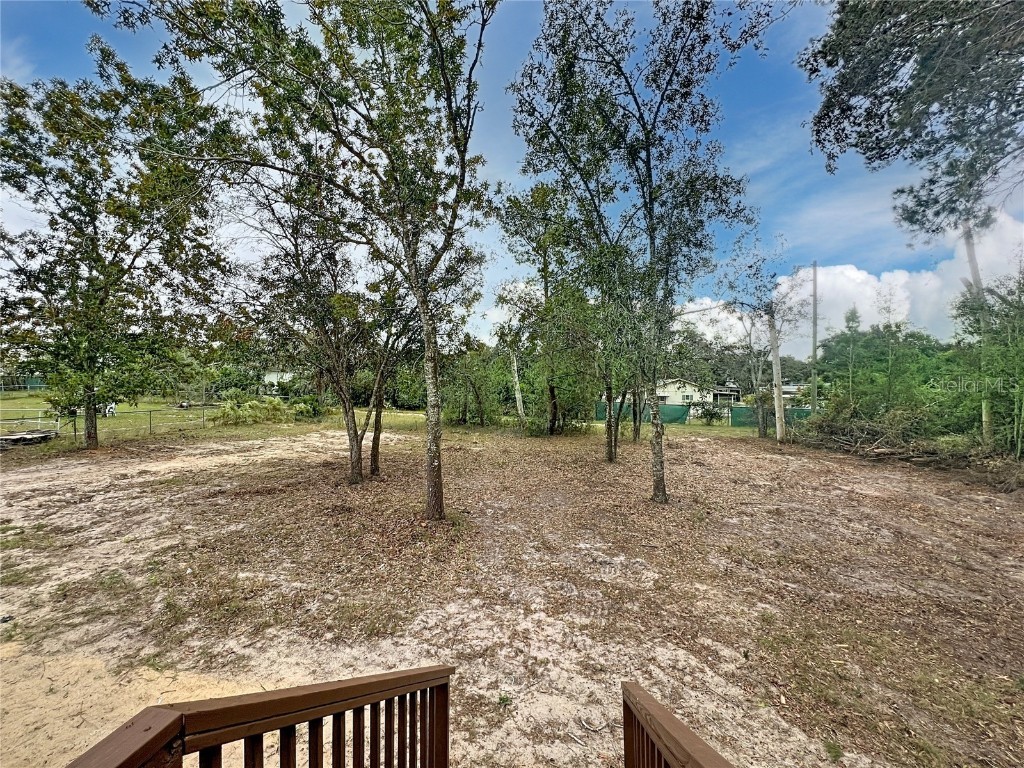 12118 Pitcairn Street Brooksville FL 34613 W7880360 image38