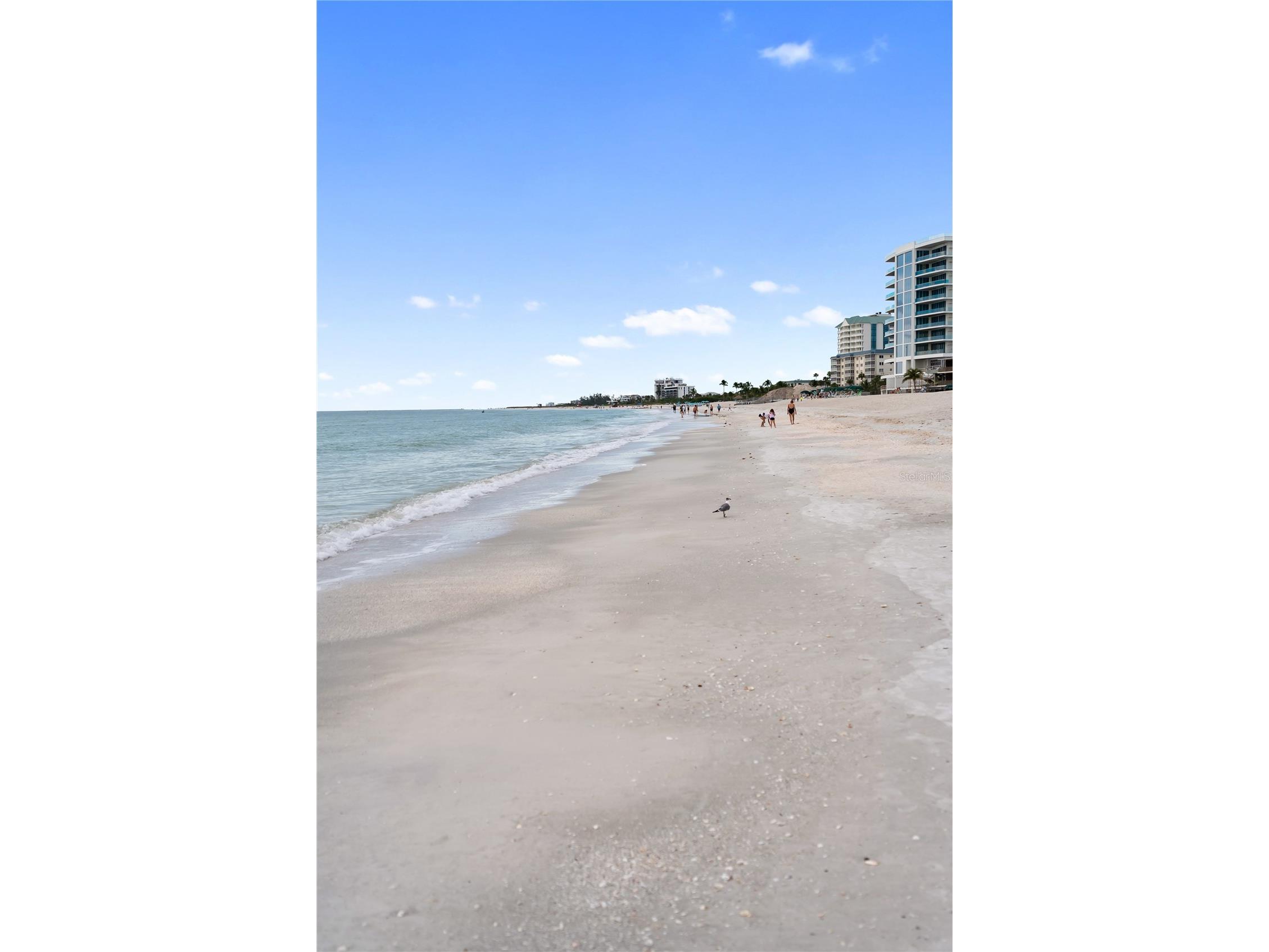 1212 Benjamin Franklin Drive #206 Sarasota FL 34236 A4674893 image71